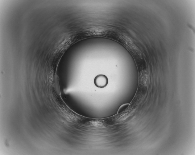 X0000098010509200804071331