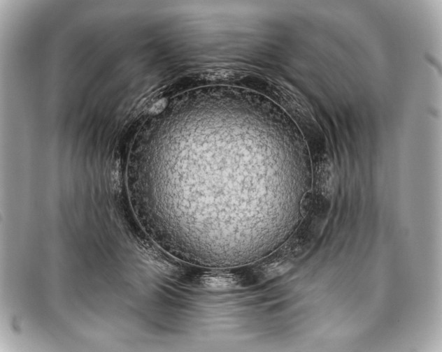 X0000098010510200804071331