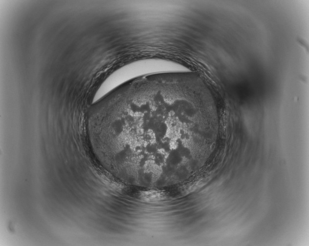 X0000098010511200804071331