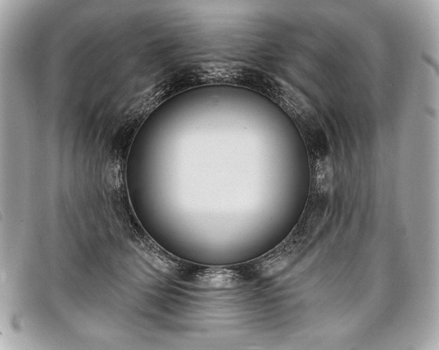 X0000098010514200804071331