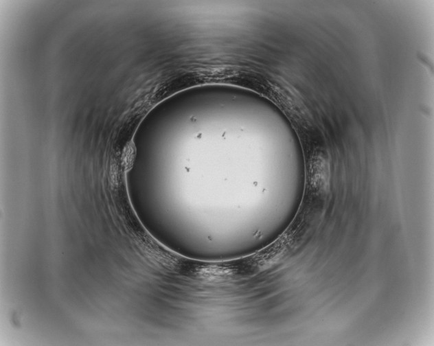 X0000098010515200804071331