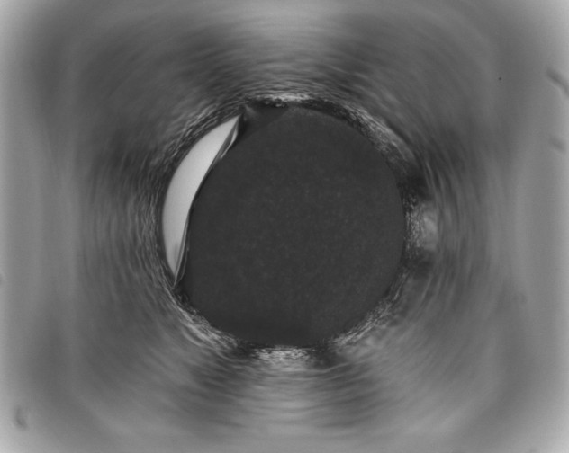 X0000098010517200804071331