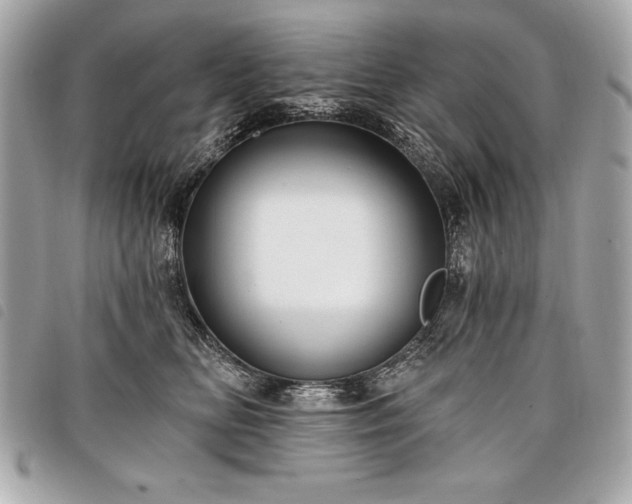 X0000098010518200804071331