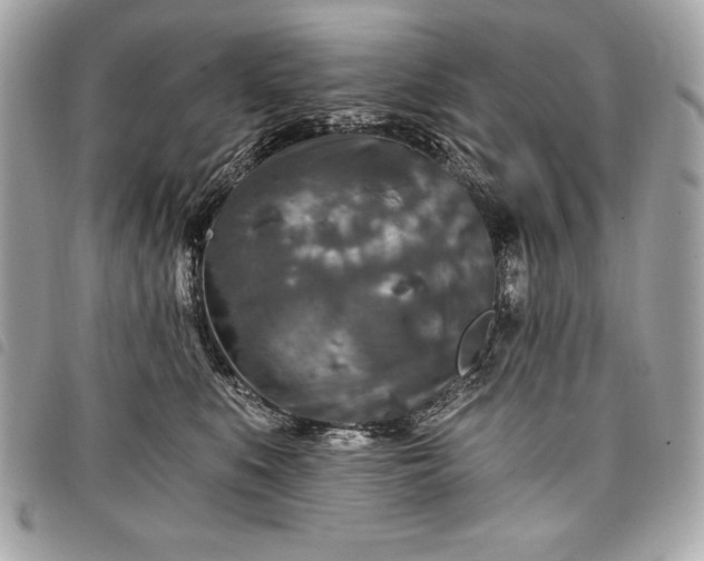 X0000098010519200804071331