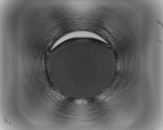 X0000098010520200804071331