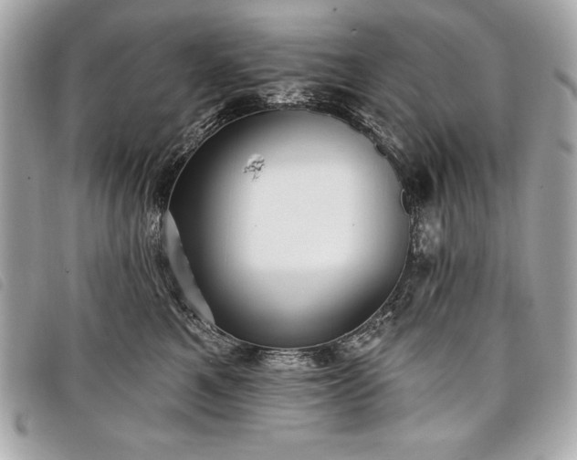 X0000098010521200804071331