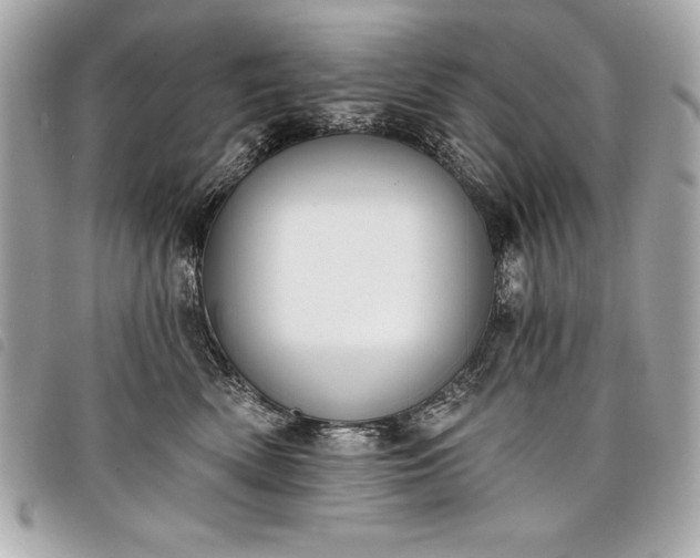 X0000098010522200804071331