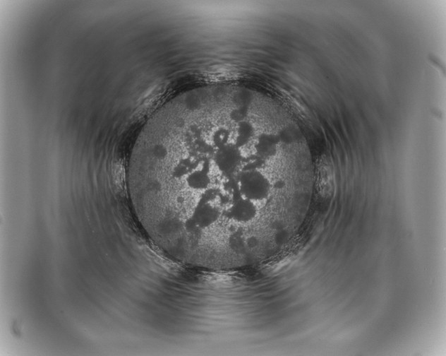 X0000098010523200804071331