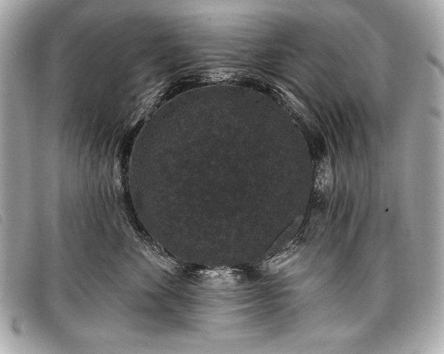 X0000098010524200804071331