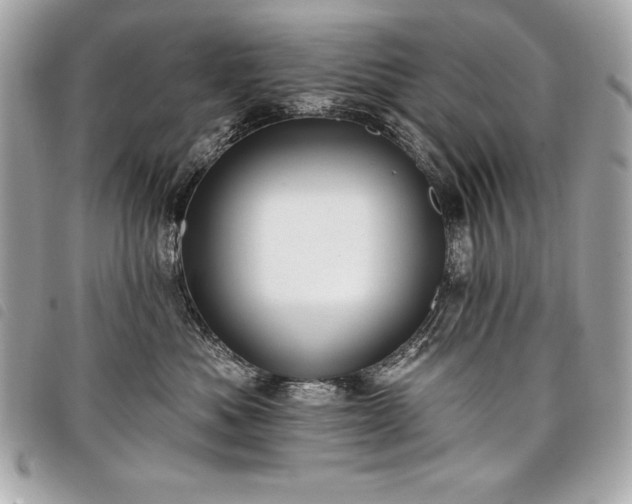 X0000098010525200804071331