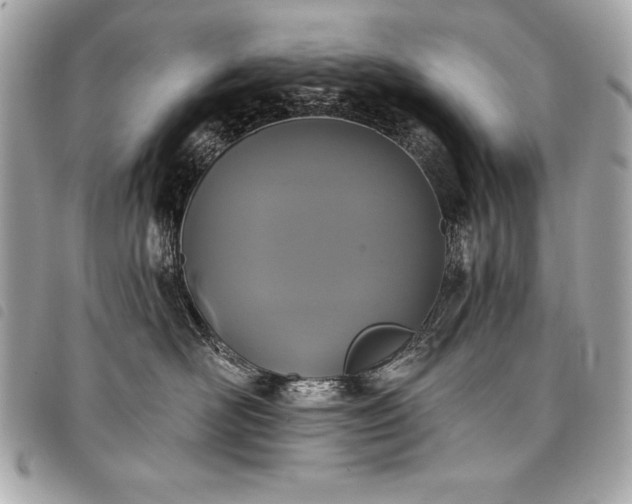 X0000098010526200804071331