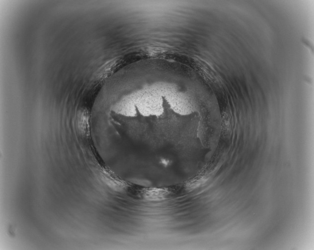 X0000098010527200804071331