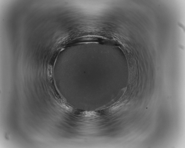 X0000098010528200804071331