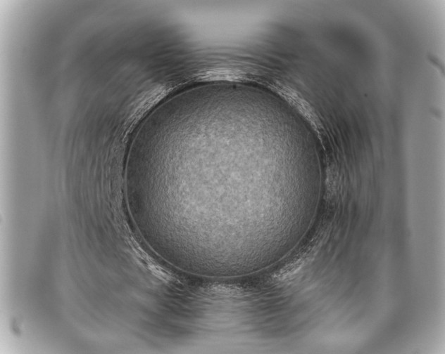 X0000098010529200804071330