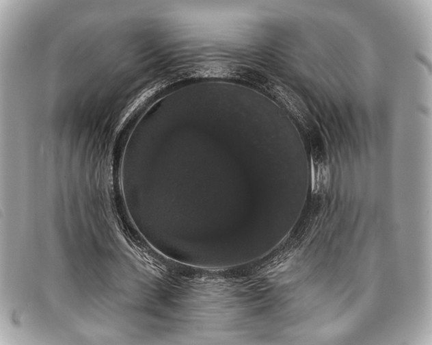 X0000098010531200804071330