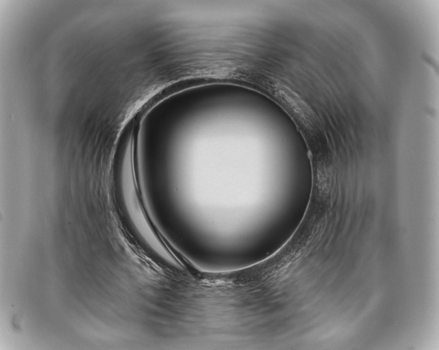 X0000098010532200804071330