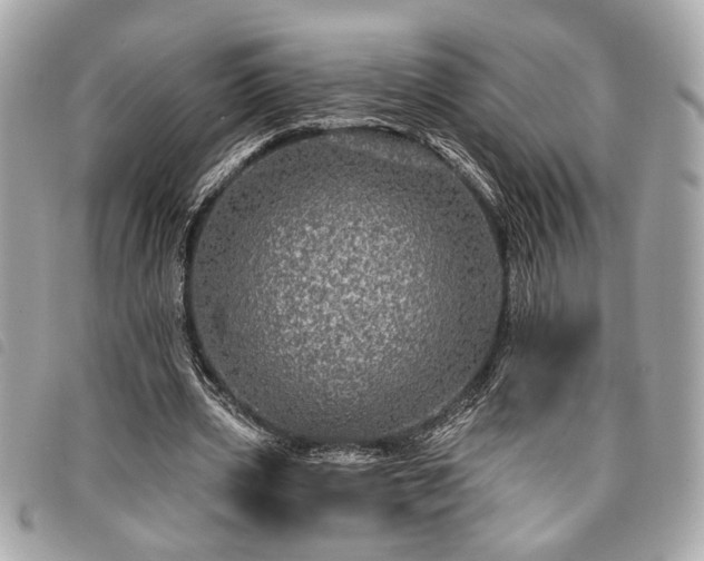 X0000098010533200804071330