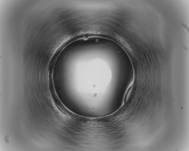 X0000098010534200804071330