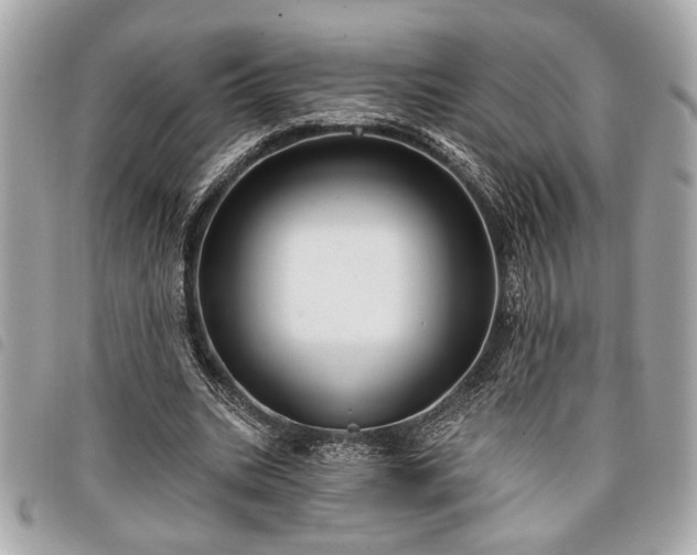 X0000098010535200804071330