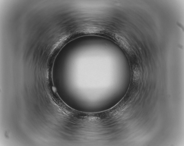 X0000098010539200804071330