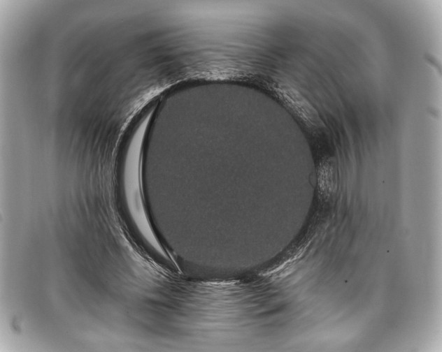 X0000098010540200804071330