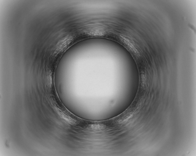 X0000098010541200804071330