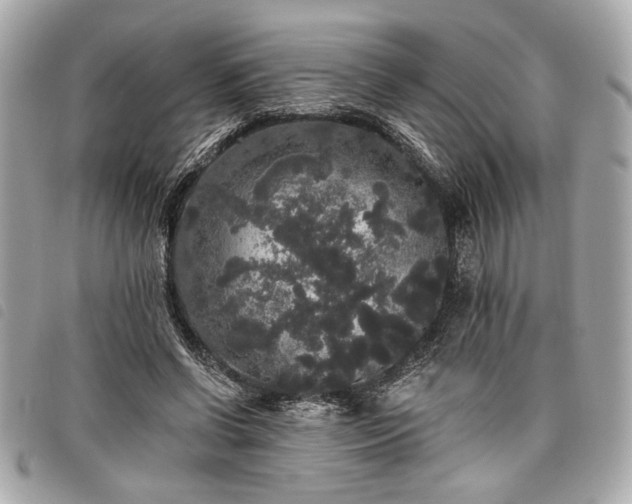 X0000098010542200804071330