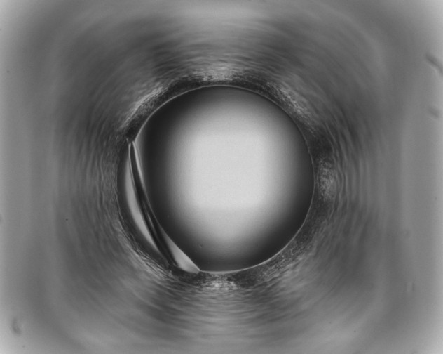 X0000098010543200804071330