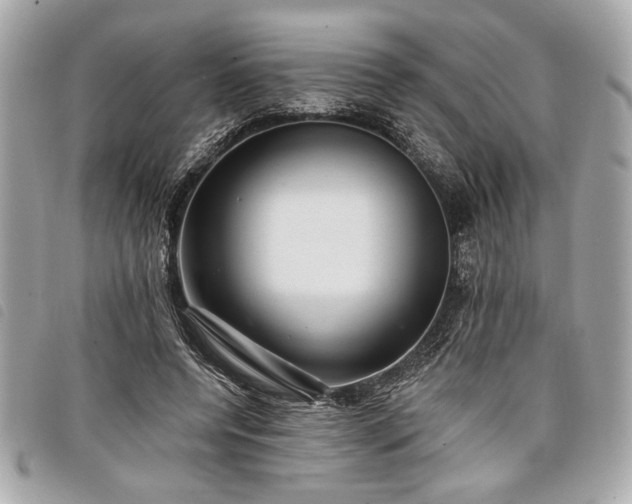 X0000098010544200804071330