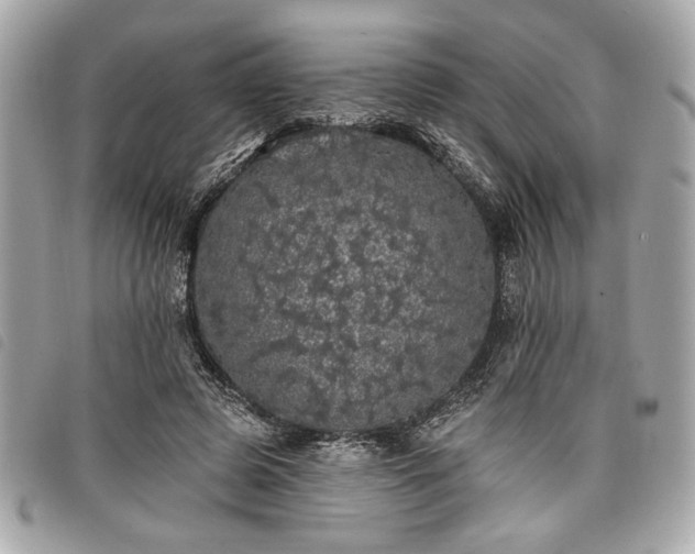 X0000098010545200804071330