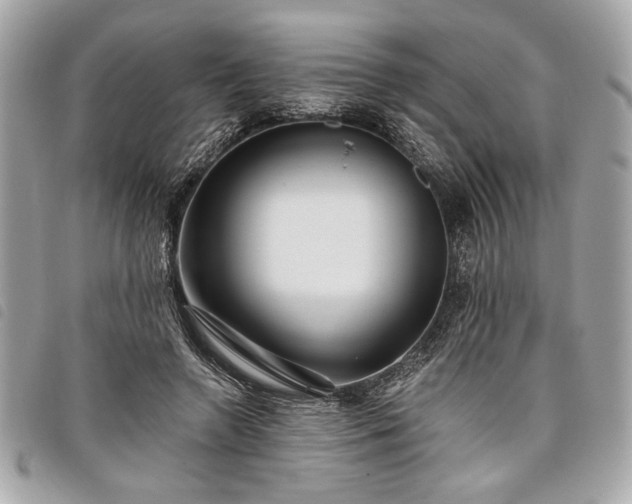 X0000098010546200804071330