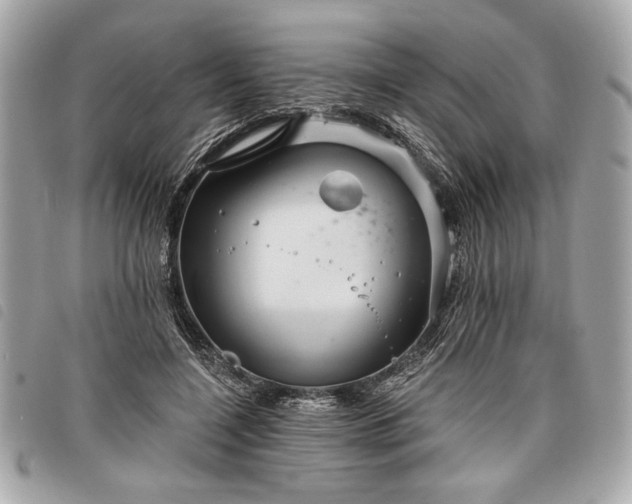 X0000098010548200804071330