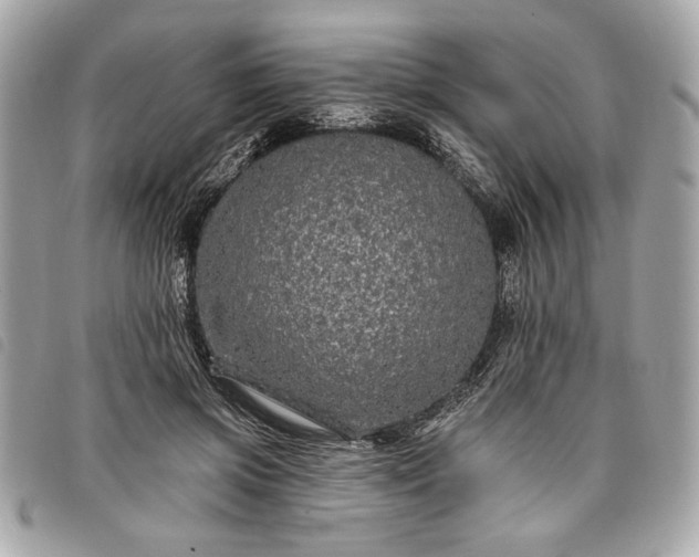 X0000098010549200804071330