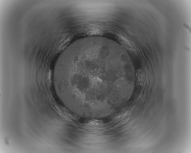 X0000098010550200804071330