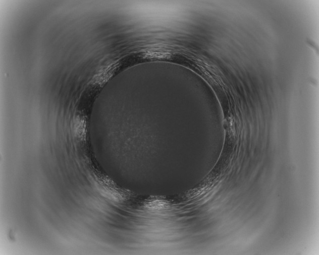 X0000098010551200804071330