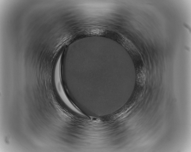 X0000098010552200804071330