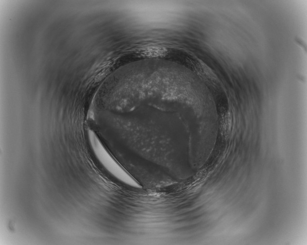 X0000098010553200804071330