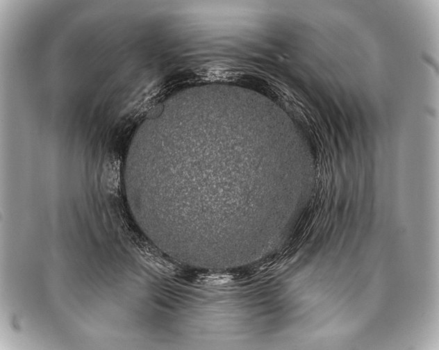 X0000098010554200804071330