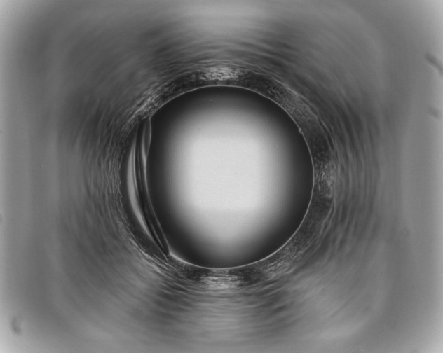 X0000098010556200804071330