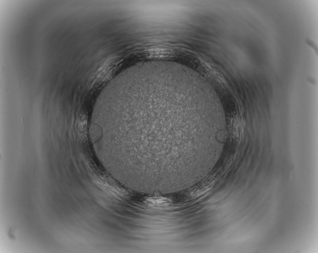 X0000098010557200804071330