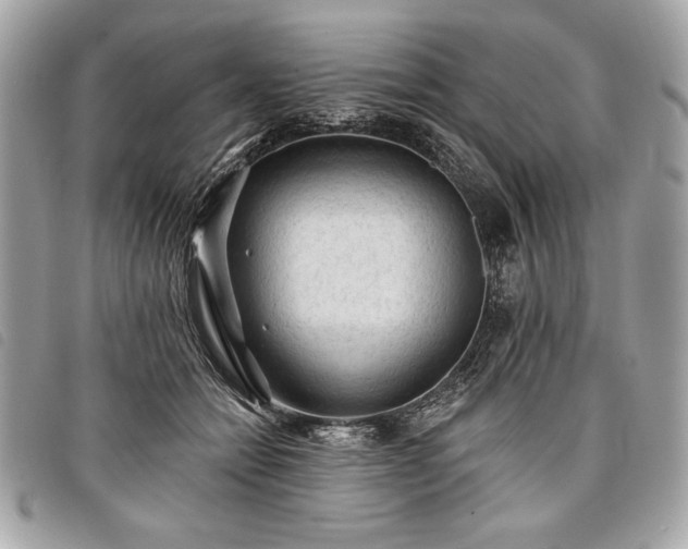 X0000098010558200804071330