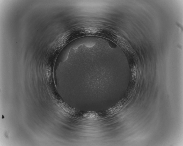 X0000098010559200804071330