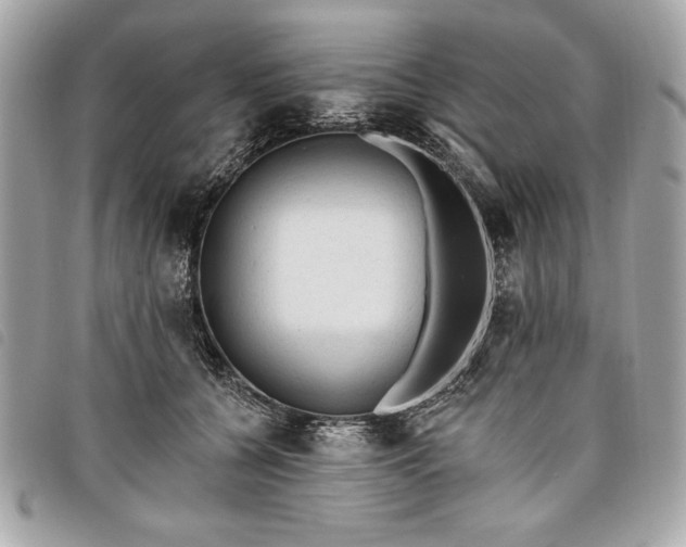 X0000098010560200804071330