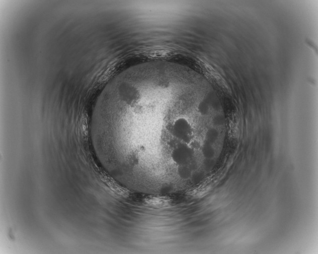 X0000098010561200804071330