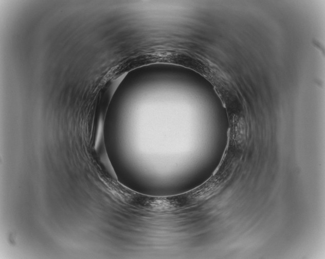 X0000098010562200804071330