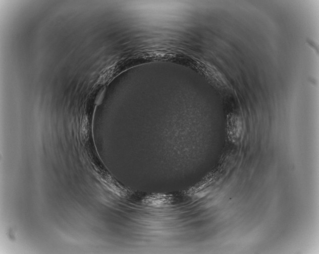 X0000098010563200804071330