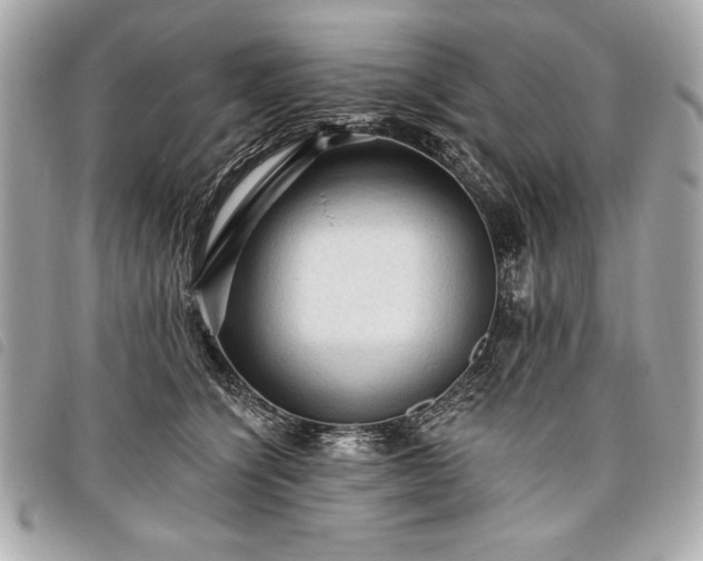 X0000098010564200804071330