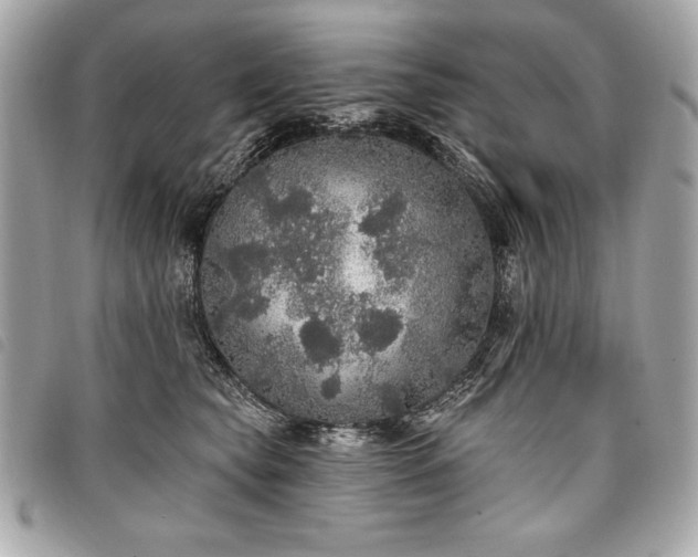 X0000098010565200804071330