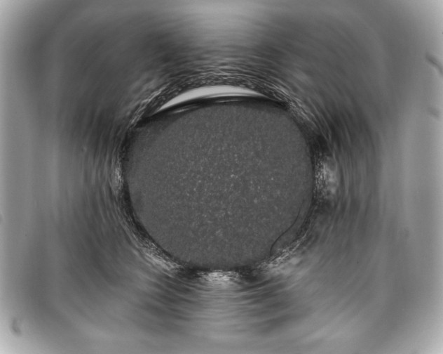 X0000098010566200804071330