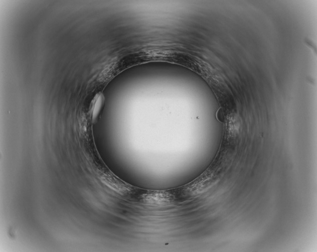 X0000098010567200804071330